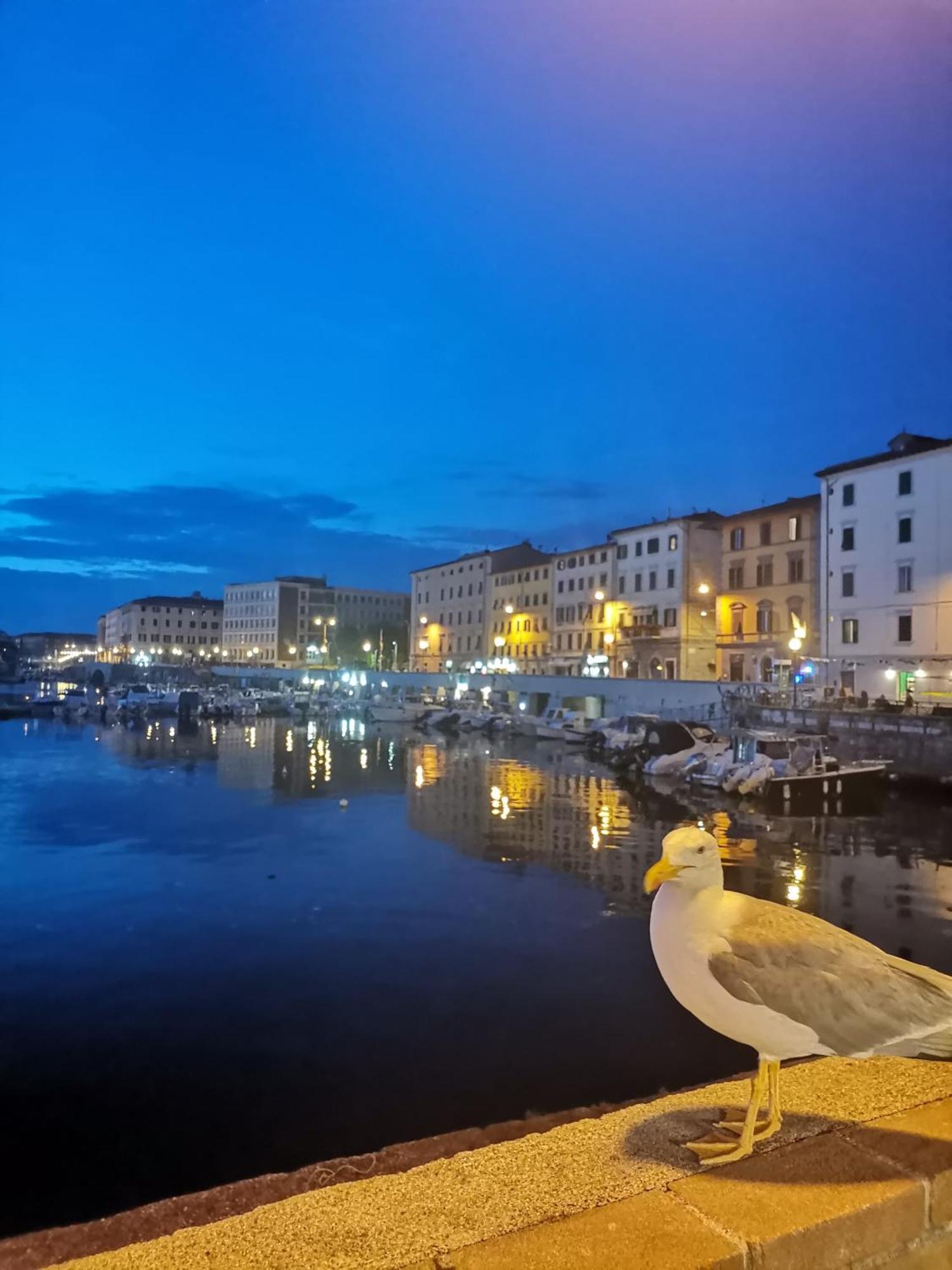 Residenza Vittoria Livorno Apartamento Exterior foto